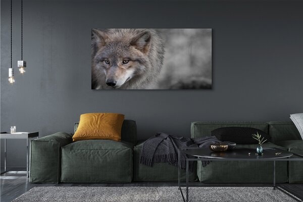Tablouri canvas Lup