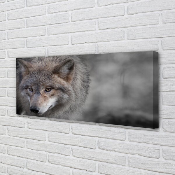 Tablouri canvas Lup