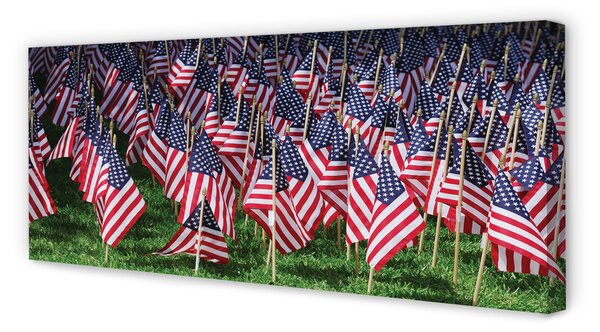 Tablouri canvas Statele Unite ale Americii steaguri