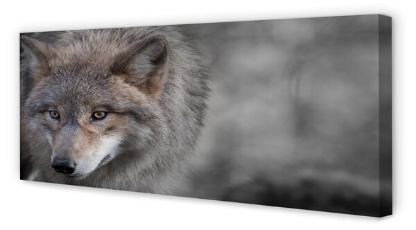 Tablouri canvas Lup