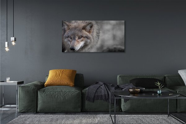Tablouri canvas Lup