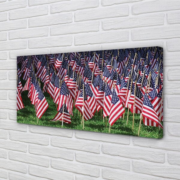 Tablouri canvas Statele Unite ale Americii steaguri