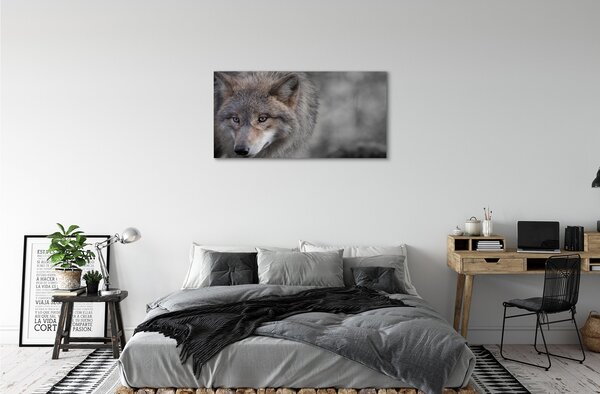 Tablouri canvas Lup