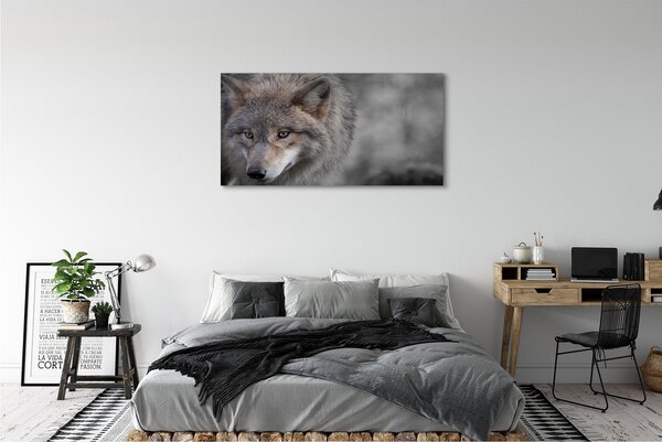 Tablouri canvas Lup