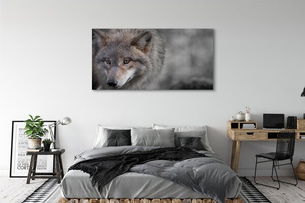 Tablouri canvas Lup