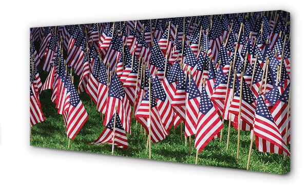 Tablouri canvas Statele Unite ale Americii steaguri