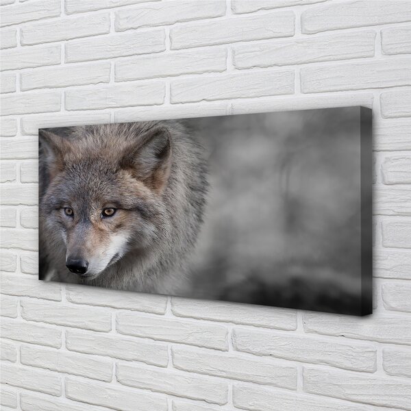 Tablouri canvas Lup