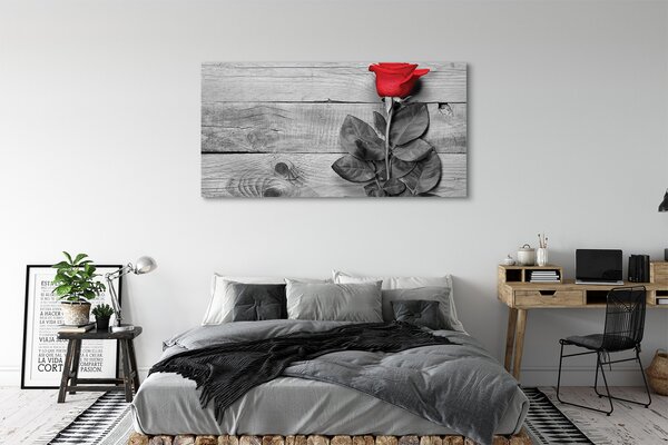 Tablouri canvas Trandafir