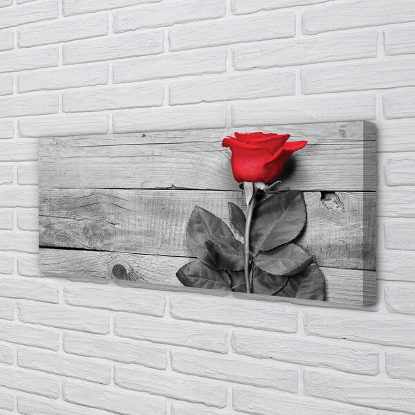 Tablouri canvas Trandafir
