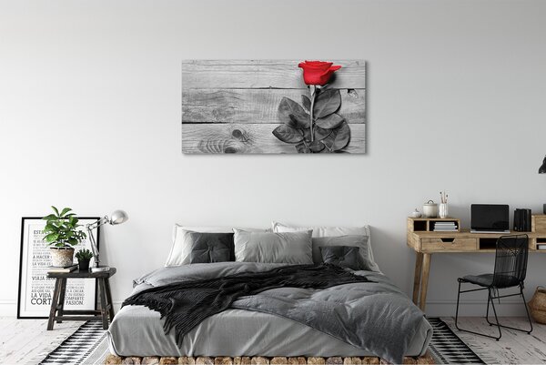 Tablouri canvas Trandafir