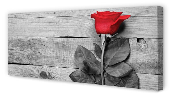 Tablouri canvas Trandafir