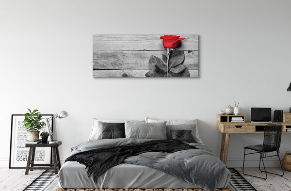 Tablouri canvas Trandafir