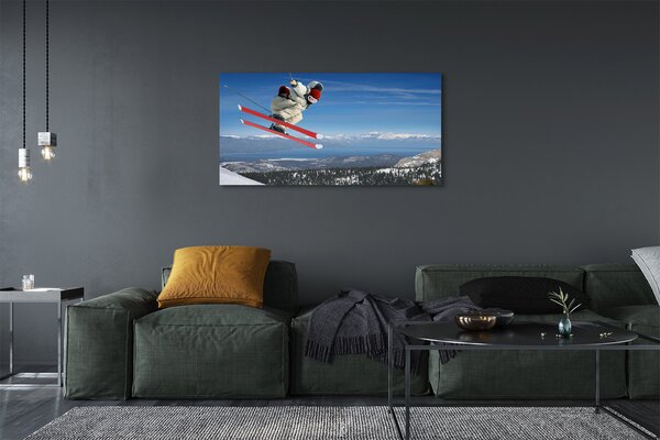 Tablouri canvas schior de munte
