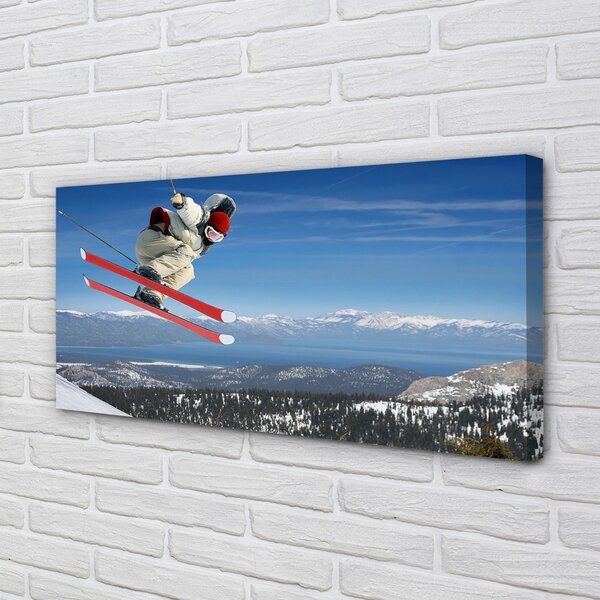 Tablouri canvas schior de munte