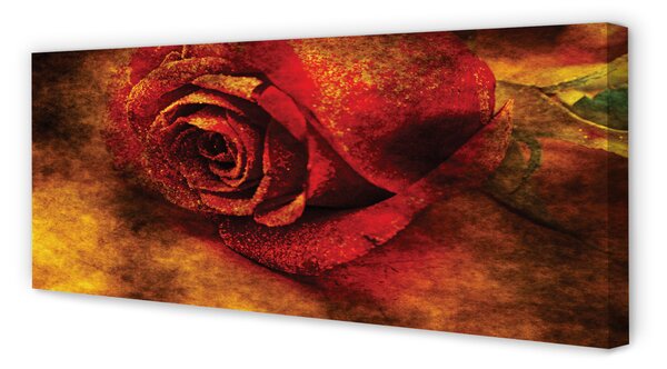 Tablouri canvas Imaginea de trandafir