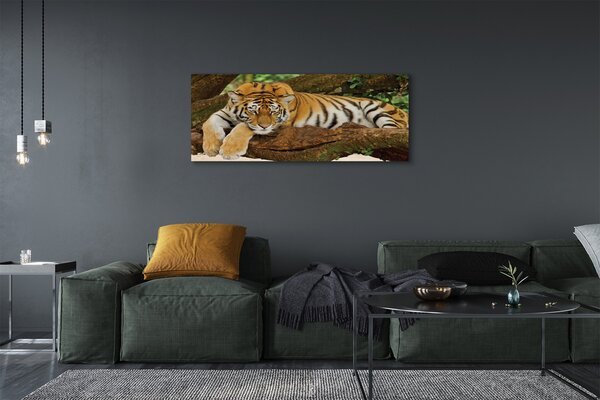 Tablouri canvas tigru copac