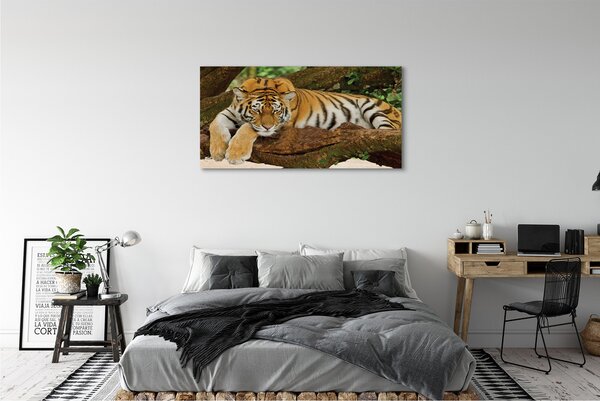 Tablouri canvas tigru copac