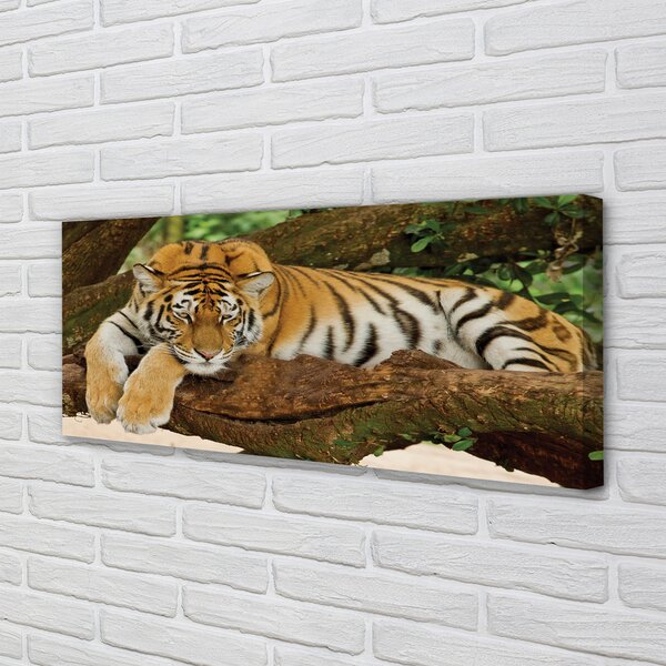 Tablouri canvas tigru copac