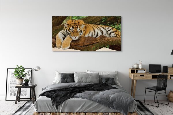 Tablouri canvas tigru copac