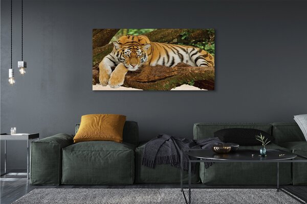 Tablouri canvas tigru copac
