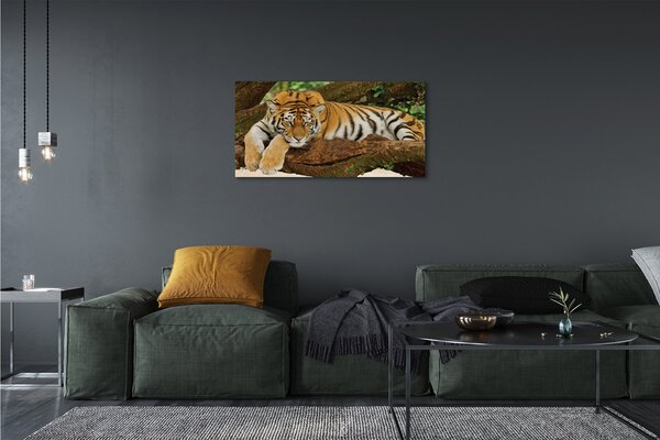 Tablouri canvas tigru copac