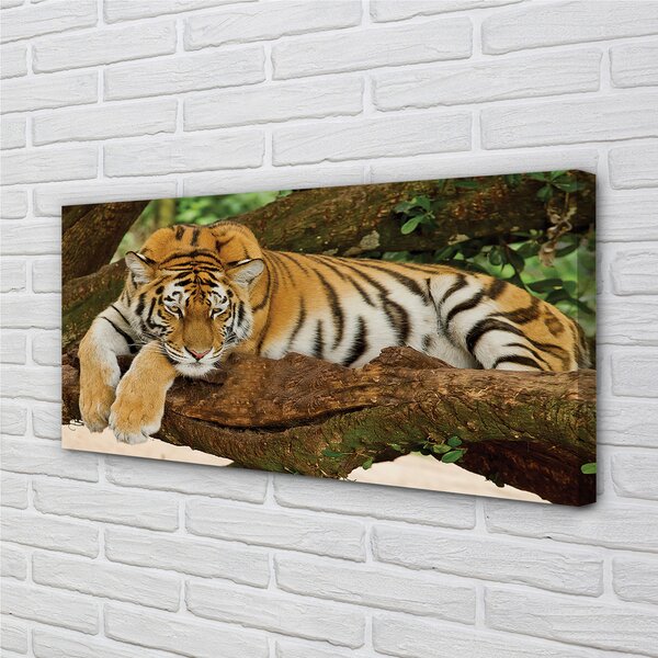 Tablouri canvas tigru copac
