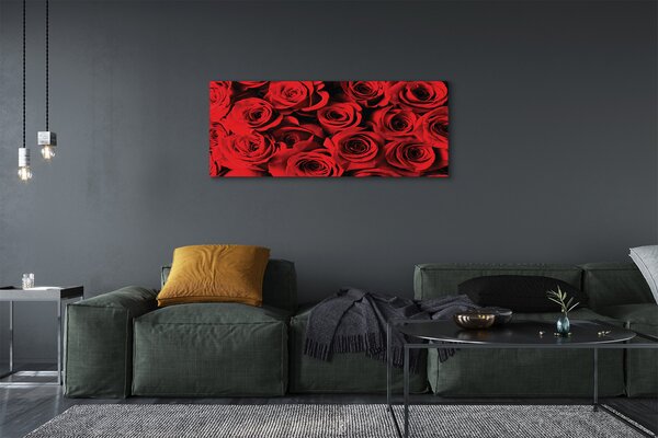 Tablouri canvas Trandafiri