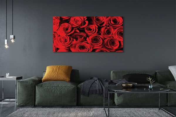 Tablouri canvas Trandafiri