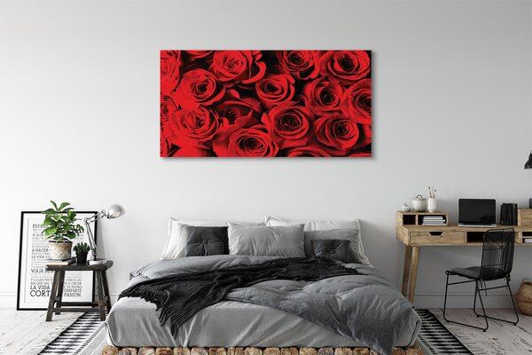 Tablouri canvas Trandafiri