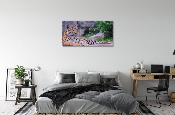 Tablouri canvas Tiger într-o grădină zoologică