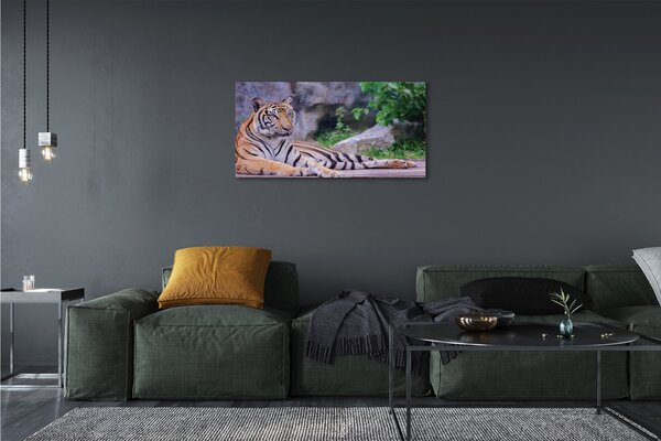 Tablouri canvas Tiger într-o grădină zoologică