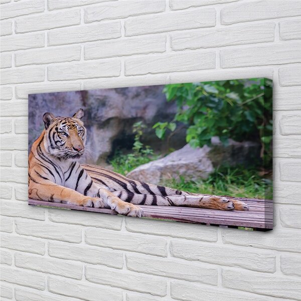 Tablouri canvas Tiger într-o grădină zoologică