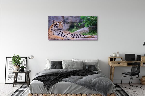 Tablouri canvas Tiger într-o grădină zoologică