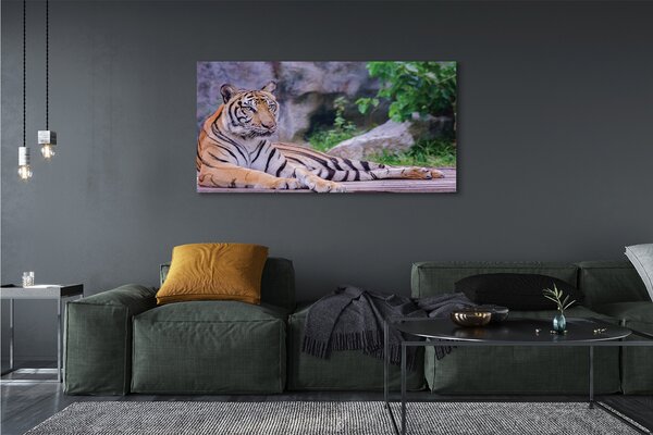 Tablouri canvas Tiger într-o grădină zoologică