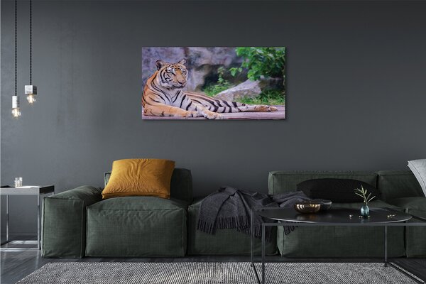 Tablouri canvas Tiger într-o grădină zoologică