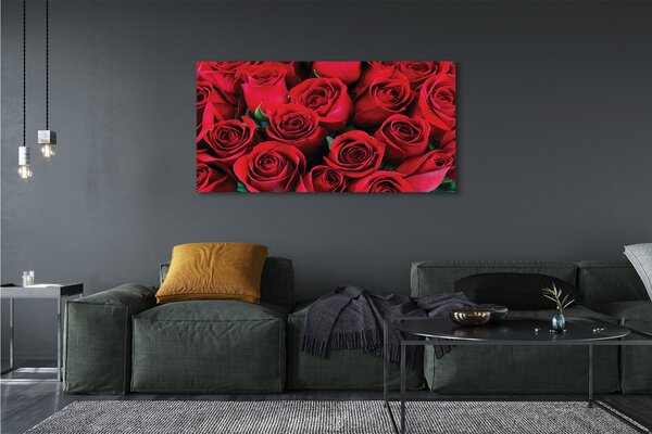 Tablouri canvas Trandafiri