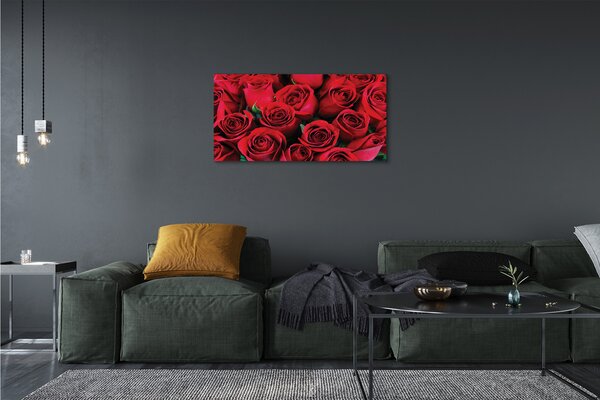 Tablouri canvas Trandafiri