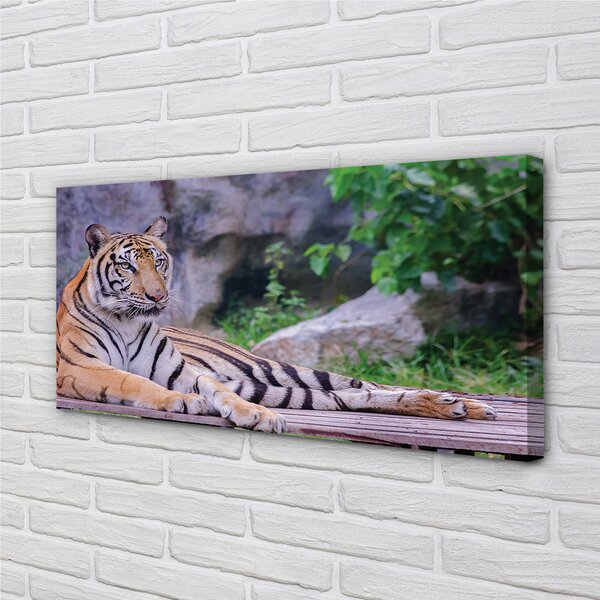 Tablouri canvas Tiger într-o grădină zoologică