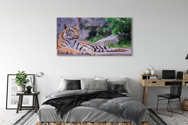 Tablouri canvas Tiger într-o grădină zoologică