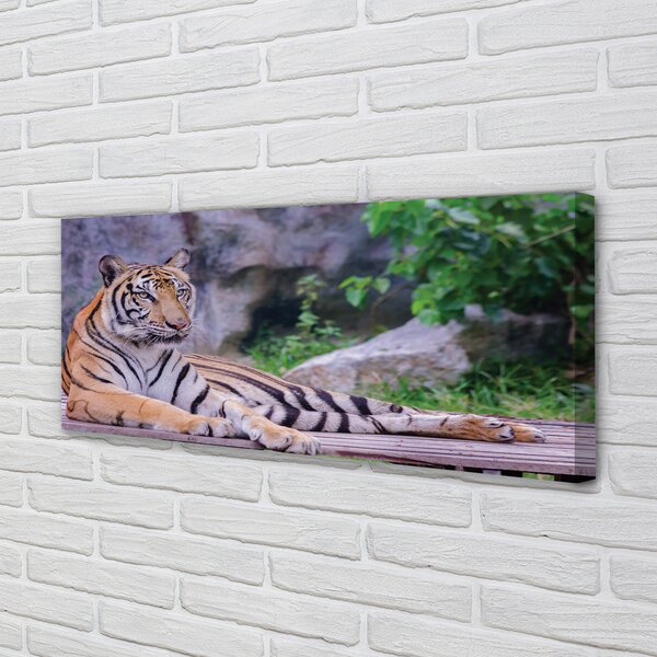 Tablouri canvas Tiger într-o grădină zoologică