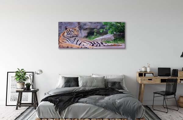 Tablouri canvas Tiger într-o grădină zoologică