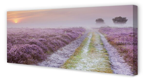 Tablouri canvas Heathers câmp