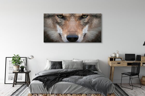 Tablouri canvas ochi de lup