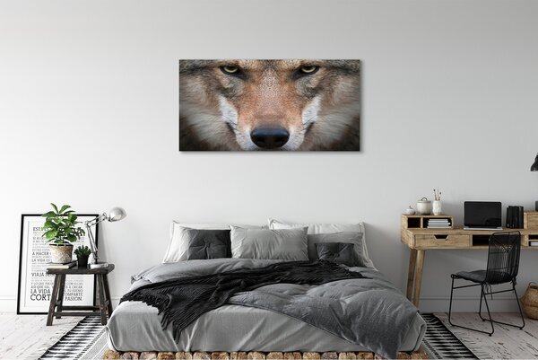 Tablouri canvas ochi de lup