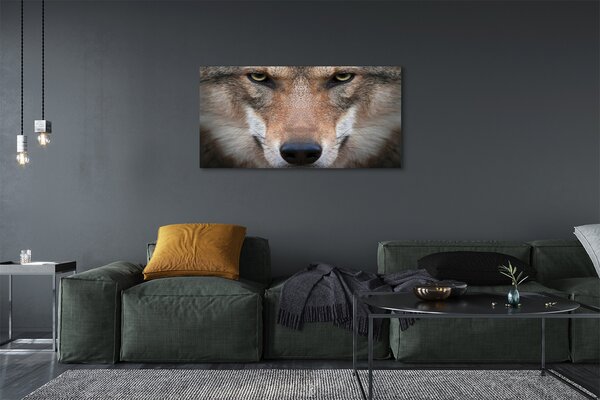 Tablouri canvas ochi de lup
