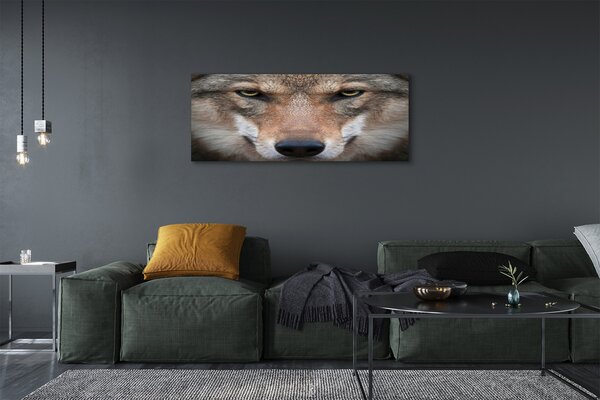 Tablouri canvas ochi de lup