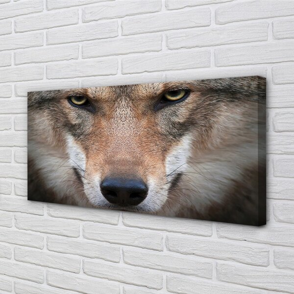 Tablouri canvas ochi de lup