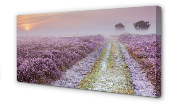 Tablouri canvas Heathers câmp