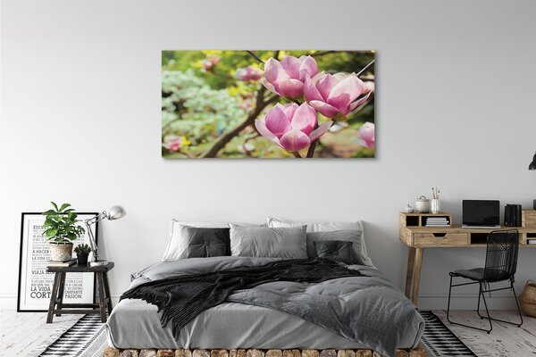 Tablouri canvas copac magnolie