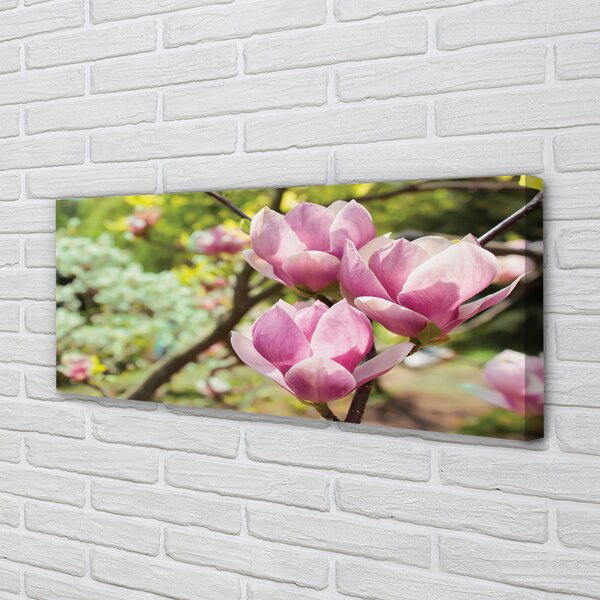 Tablouri canvas copac magnolie